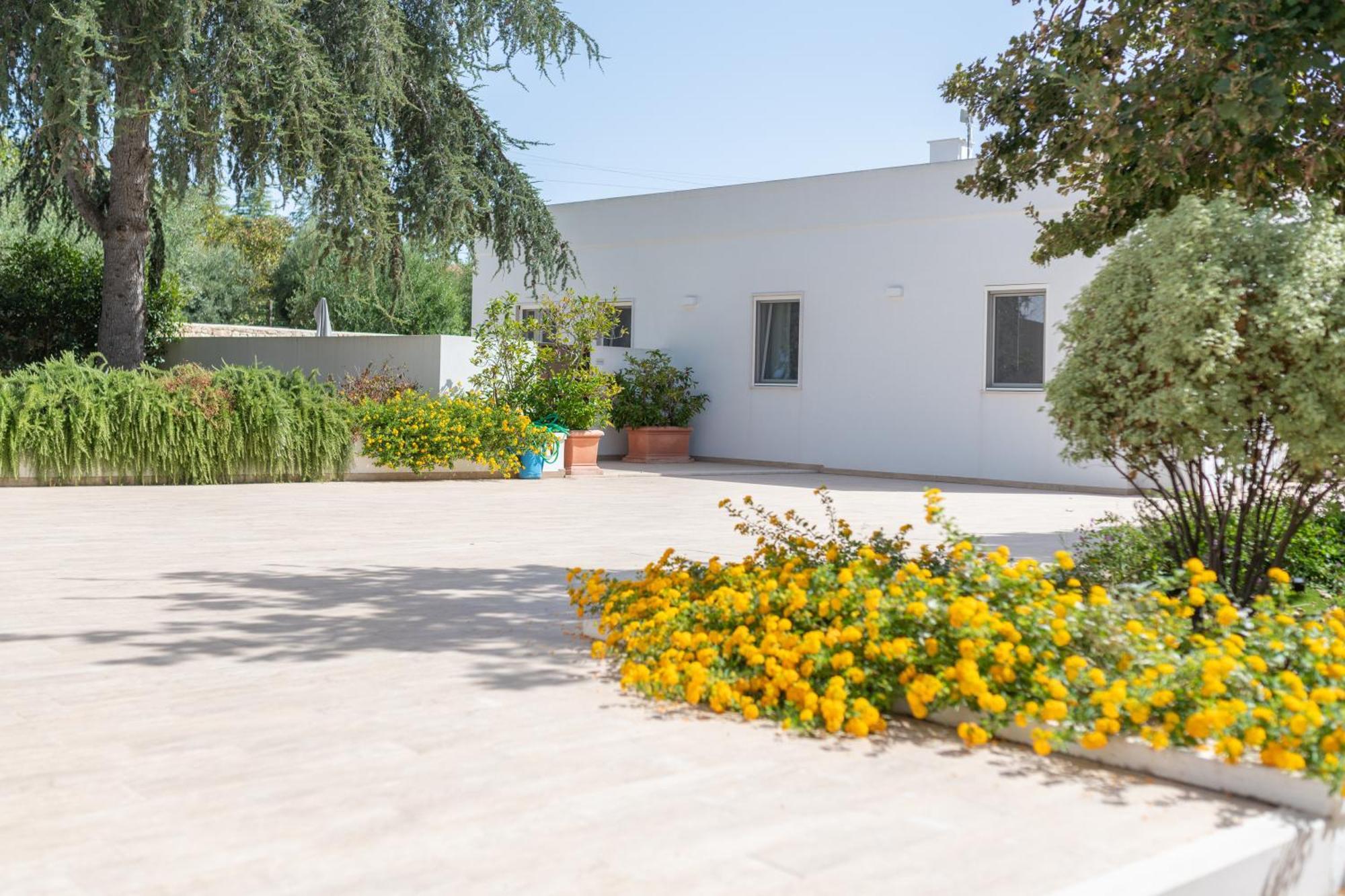 Mandorlocarrubo's * Ostuni