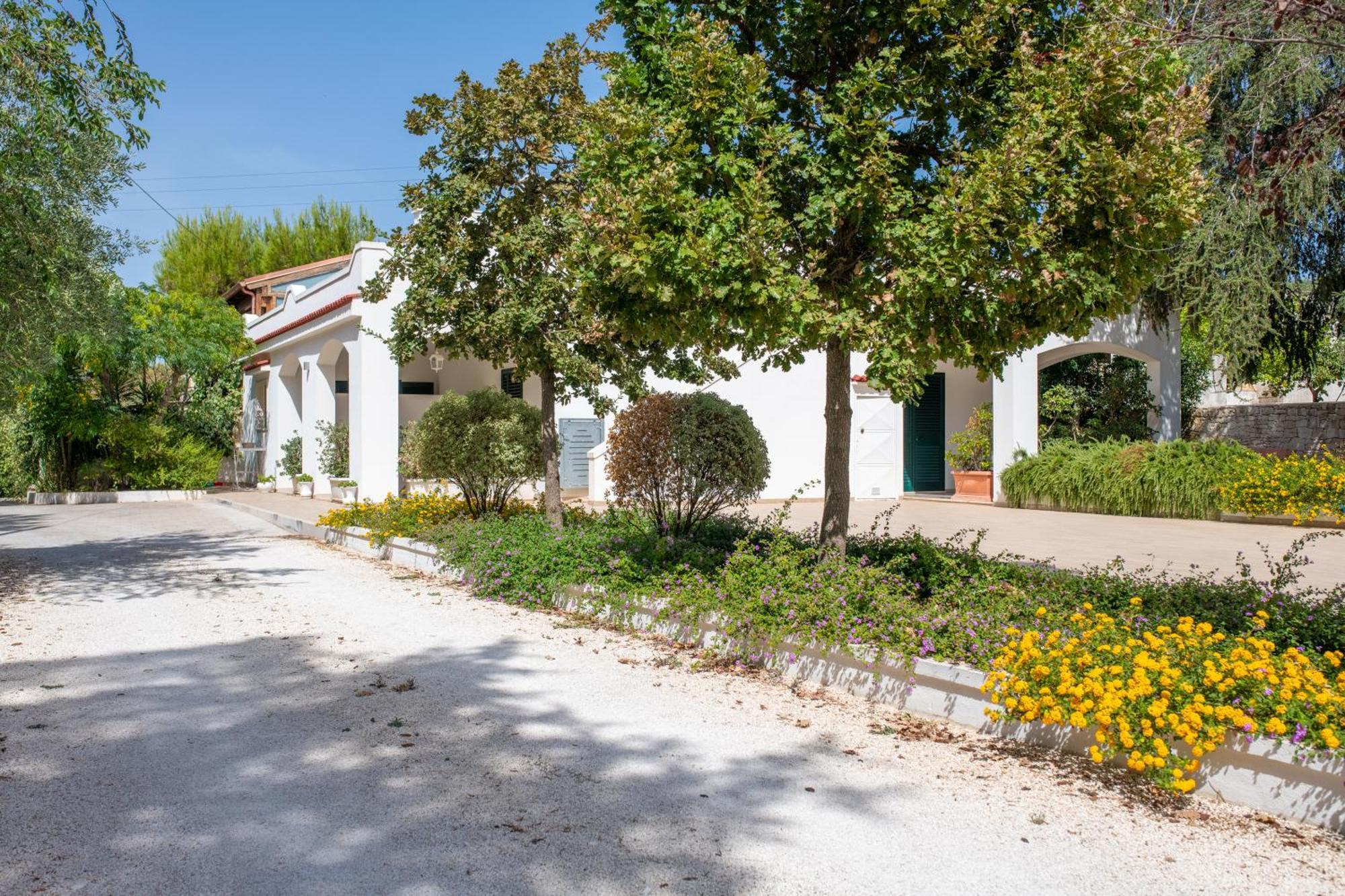 Mandorlocarrubo's Ostuni